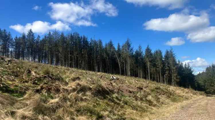 Low Baronwood Farm Lot 3 52.97 Acres Woodland Eden Valley