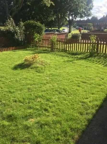 One Bedroom Council Bungalow