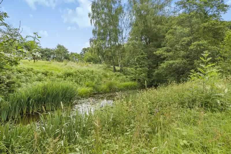 Equestrian Smallholding near Tenbury Wells