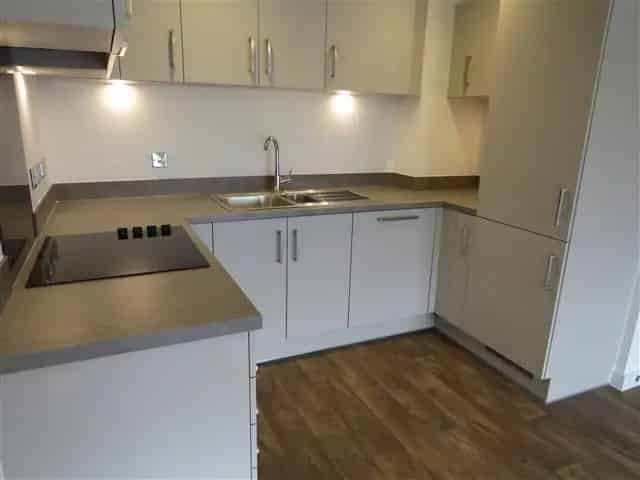 Two Bed Two Bath Apartment Available October 2023