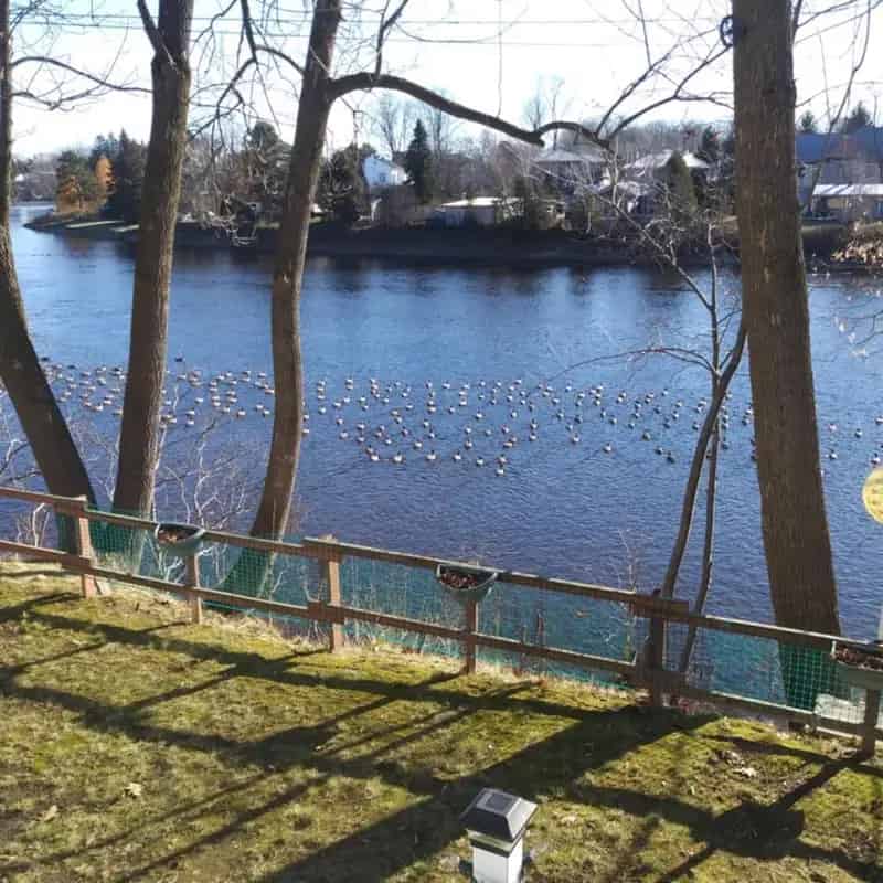 Riverfront Home for Sale: Secluded Oasis on Ouareau River