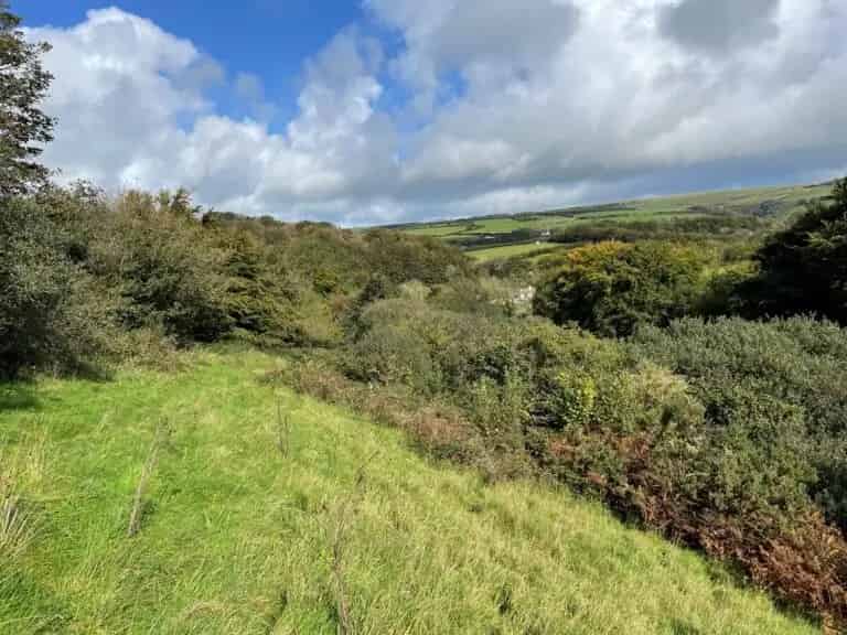 Exmoor National Park 4.2 Acre Wooded Valley Enclosure
