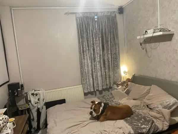 1 Bed Ground Floor Flat Near Sheeshmahal