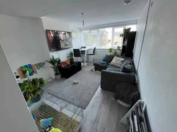 Spacious One Bedroom Apartment - Quiet and Lovely