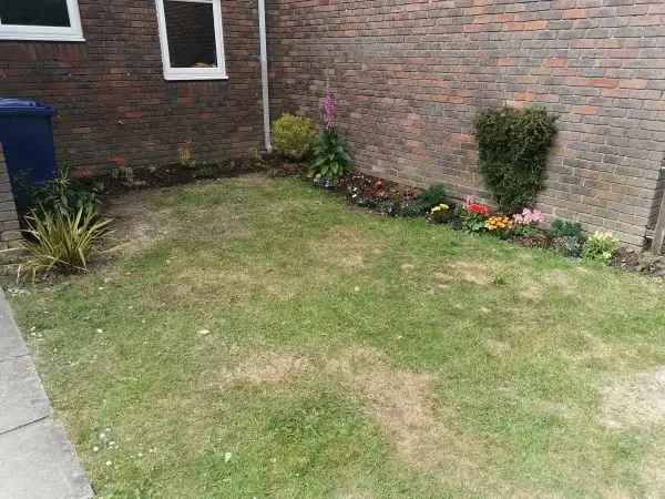 Flat For Rent in Waverley, England