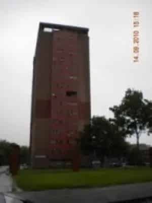 2 Bed Flat Newtown