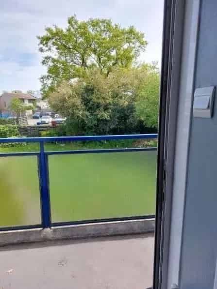 1 Bedroom Flat near Wickford Station