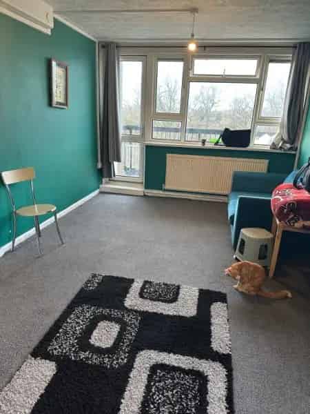 2 Bedroom 1 Bathroom House with Kitchen