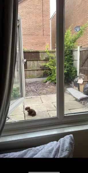 1 Bedroom Ground Floor Flat with Garden
