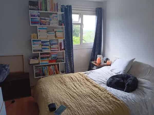 Quiet Guildford Area Home Dog Walks Parking
