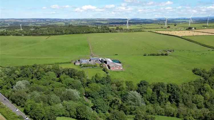 Canderside Farm Mixed Farming Unit 306 Acres