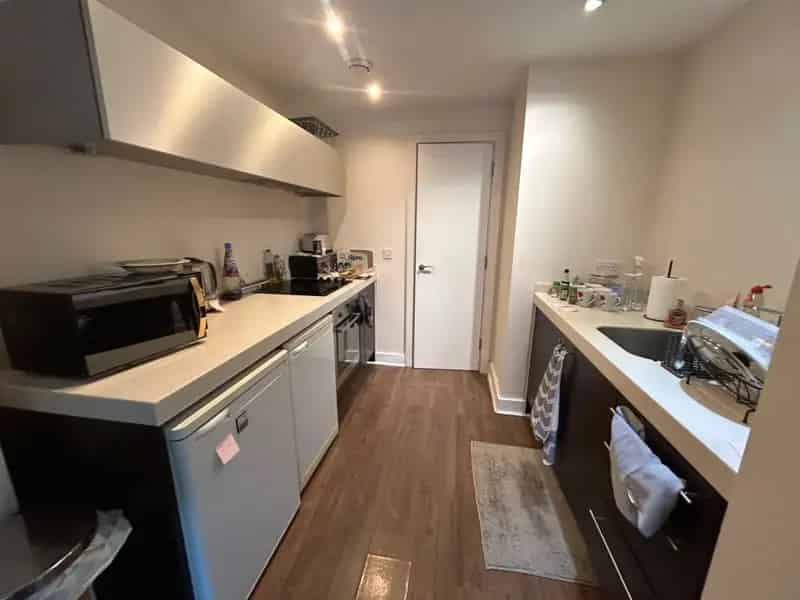 1 bedroom apartment