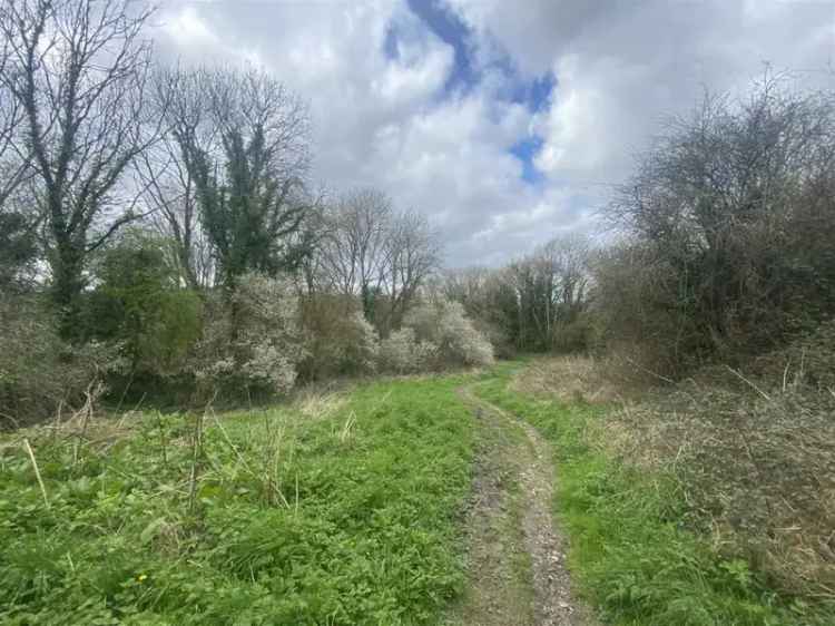 0.49 Acre Land Plot Near Maiden Newton