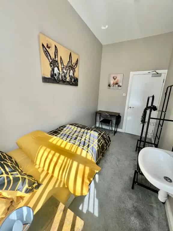 Modern Furnished Bedroom near Queen's University Belfast