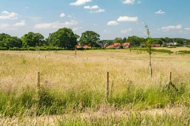 PLOT 247 The Bishopsdale 2-Bedroom Bungalow Potters Wood