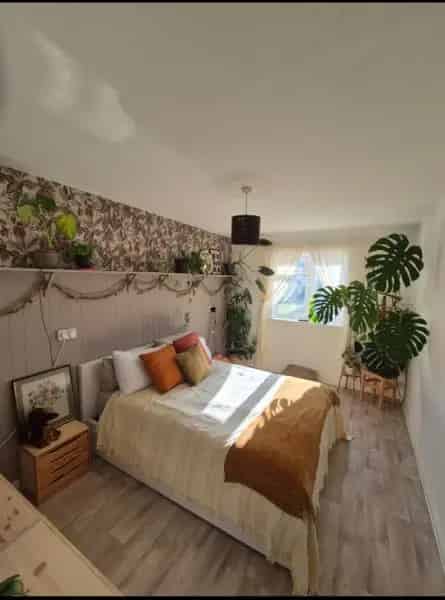 Beautiful 2-Floor Flat with Parking and Garden Access Near Crediton