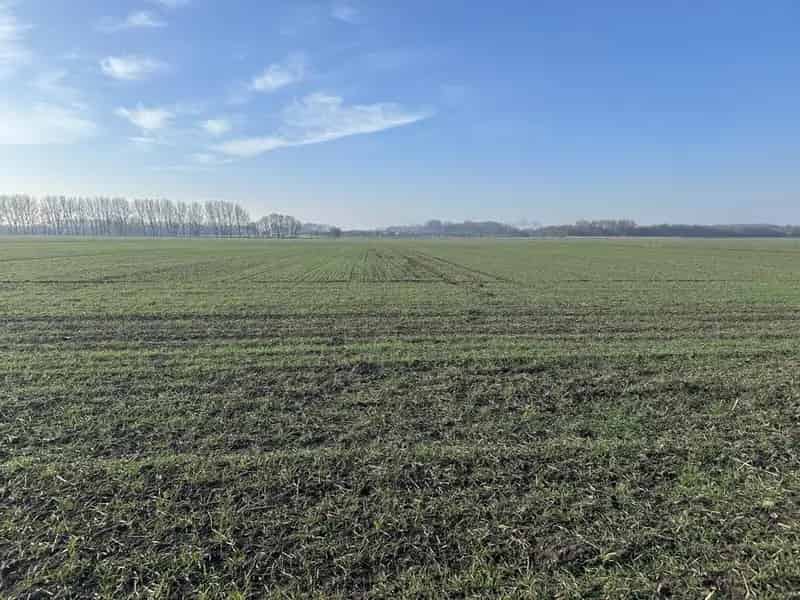 249.45 Acres Arable Land for Sale in Leven Beverley