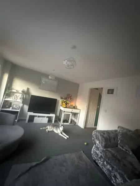 2 Large Bedroom New Build Home with Upstairs Downstairs Toilets