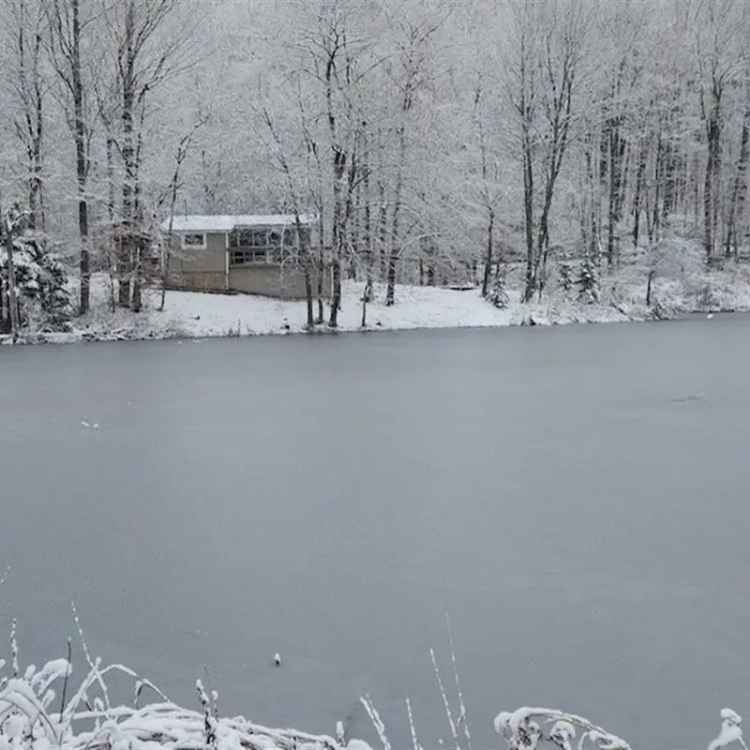 4 Season Chalet on Private 4.11 Acre Lot with Pond Views