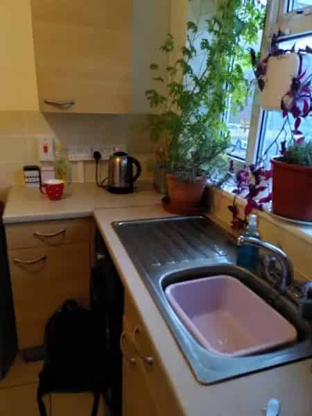 1-Bed Ground Floor Flat Near Dalston - Seeking Trade in Clapton Hackney