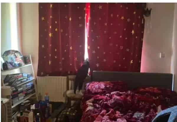 One Bedroom Ground Floor Flat Near Forest Hill Station