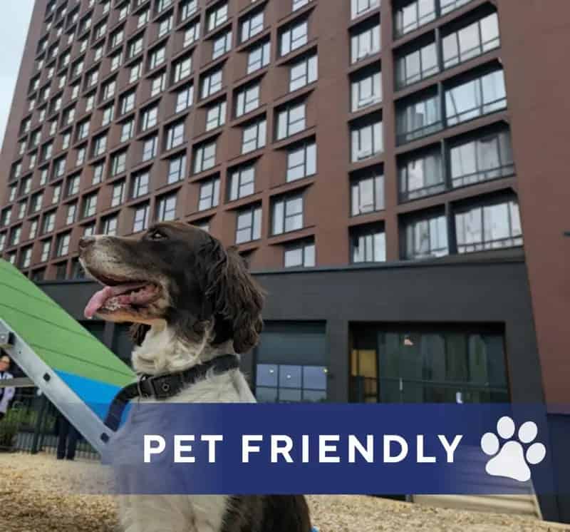 2 Bedroom Apartment Birmingham - Affordable Home Rental