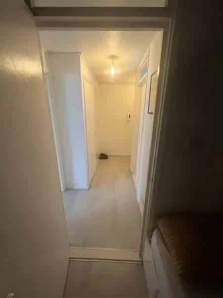 Spacious Flat near Bethnal Green with Excellent Amenities