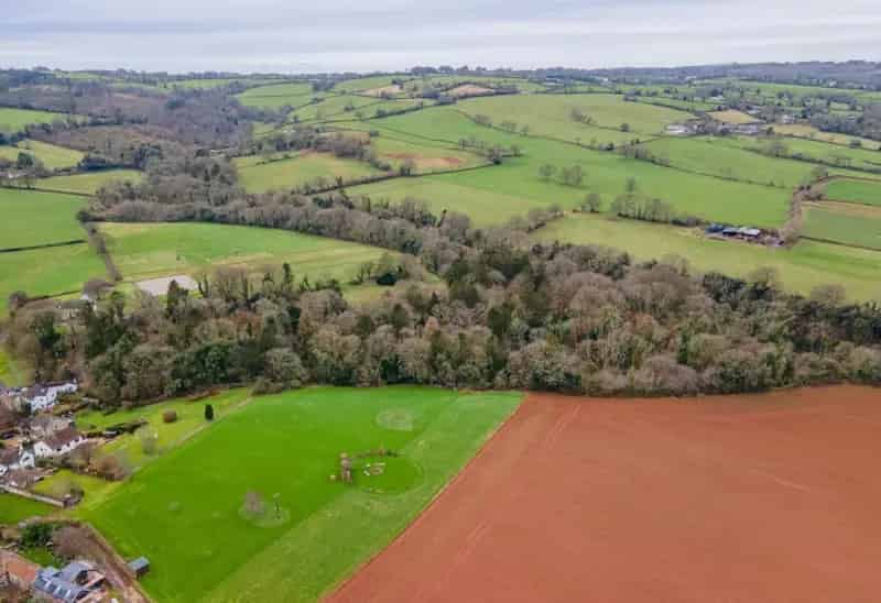 22.5 Acre Woodland SSSI near Richmont Castle Mendip Hills AONB