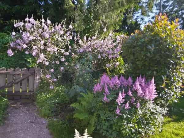 Lovely Bungalow Near Town and Family