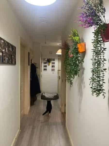 Second Floor Flat with Lift