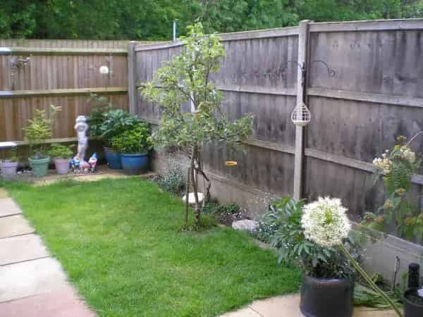 Quiet Terraced House Near Shops and Amenities