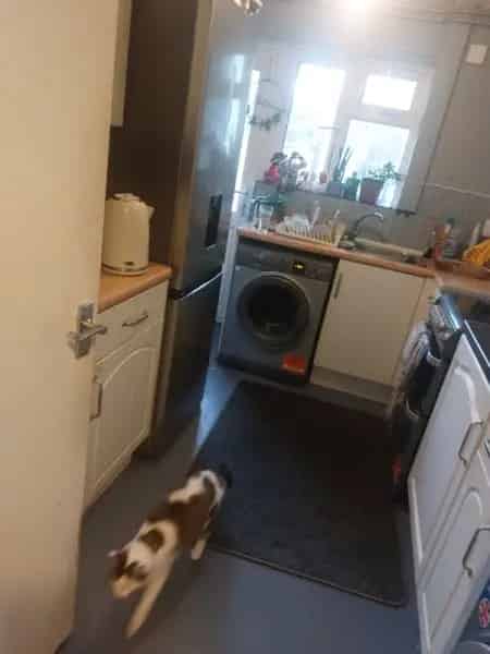 Flat For Rent , Paignton, England