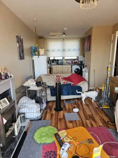 Flat For Rent , London, England