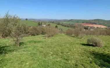 Devon Land Plot for Sale Nut Orchard Pasture