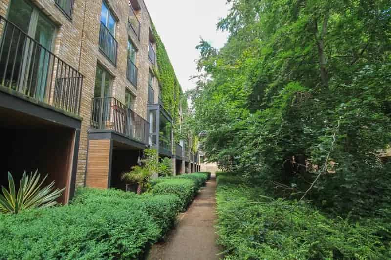 5 Bedroom Townhouse to Rent