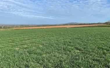52.37 Acre Farmland near Honiton East Devon