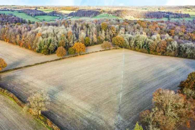 82.12 Acres Woodland and Farmland Buckinghamshire