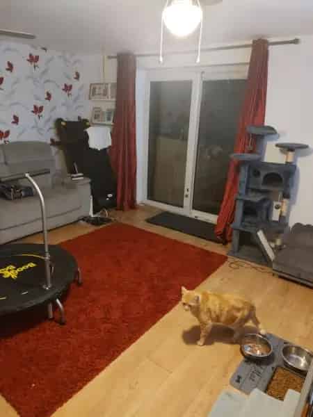 Large Garden Lounge and Kitchen