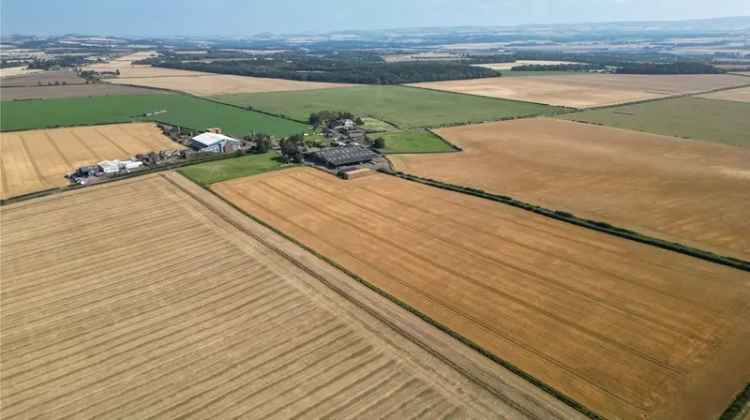 Farm For Sale in Scotland