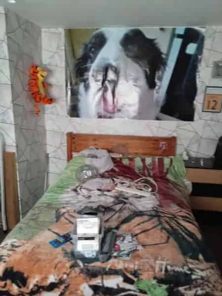 Ground Floor Flat