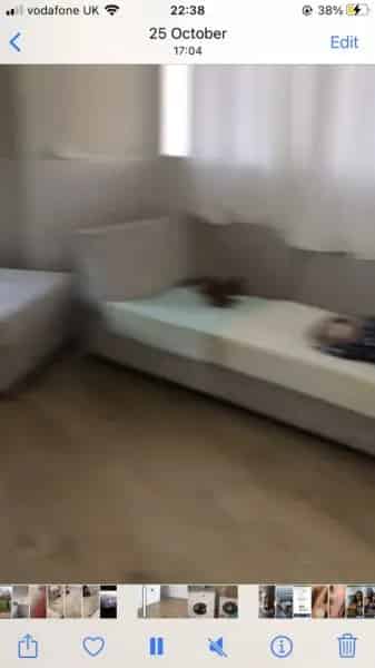 Beautiful 2-Bedroom Flat with Large Laundry and Balcony
