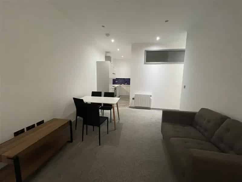 1 Bedroom City Center Apartment Available August