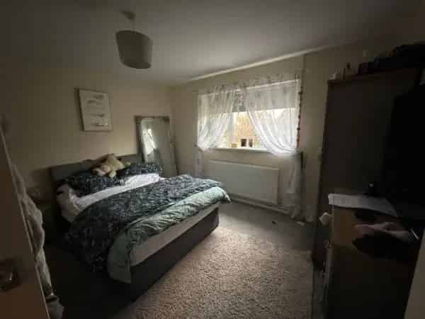 Spacious Quiet Flat in Nice Area