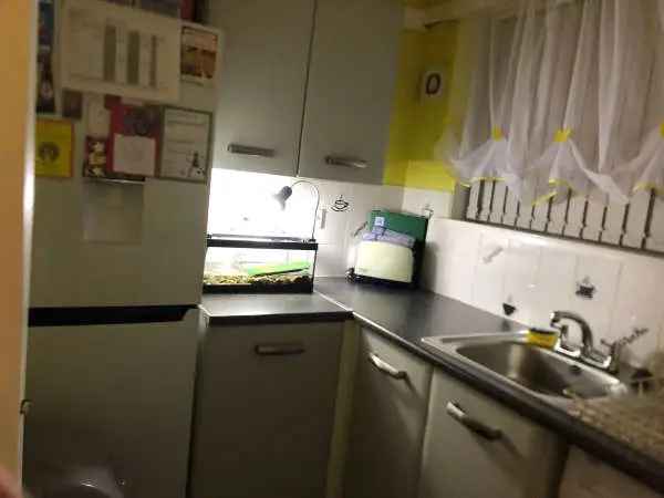 Ground Floor Flat Two Large Bedrooms Near Princess Alice Retail Park