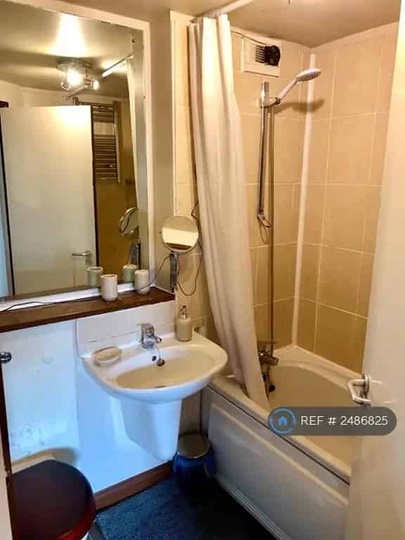1 Bedroom City Centre Apartment Available May 29 2025
