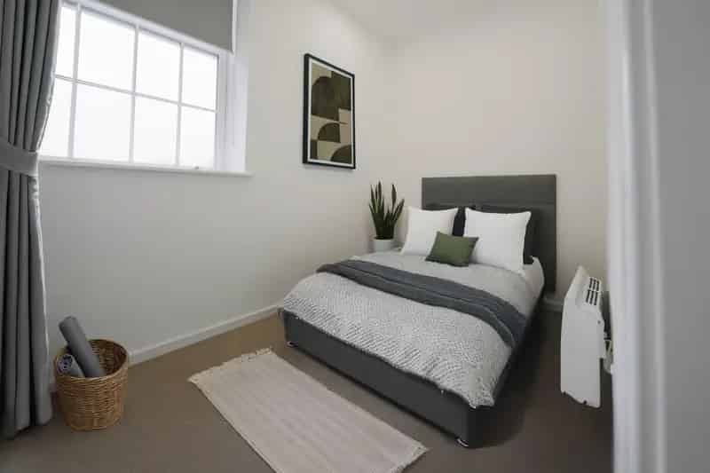 1 Bedroom Apartment Bolton - Pet-Friendly - One Month Free Rent