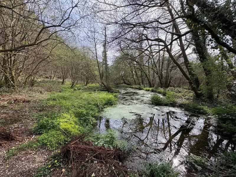 Farm Land for Sale Tenant Fee Details Available
