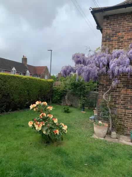 3 Bedroom Semi Detached House Near Amenities