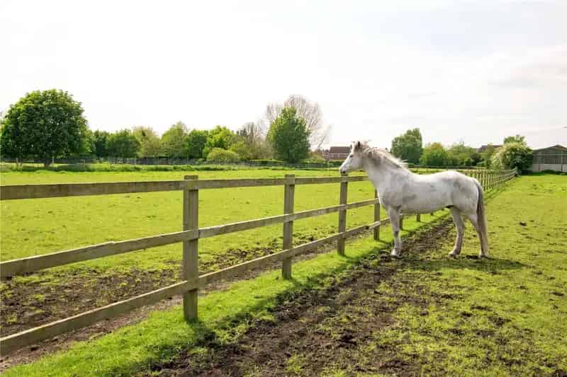 Detached Bungalow for sale with 5 bedrooms, High Street Wroot