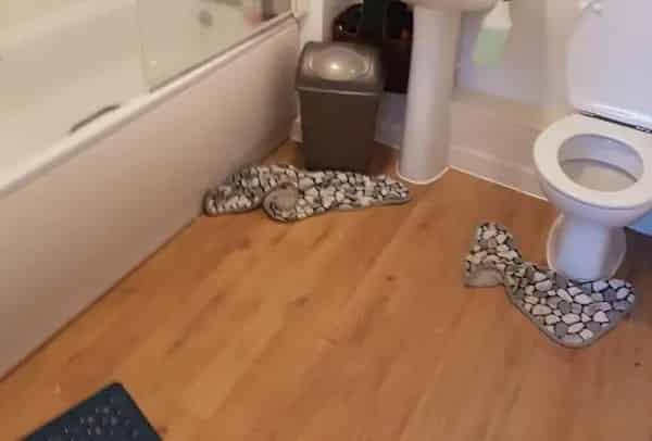 1 Bedroom Flat with Parking Near Pubs and Shops